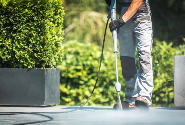 Best Driveway Pressure Washing  in Piermont, NY